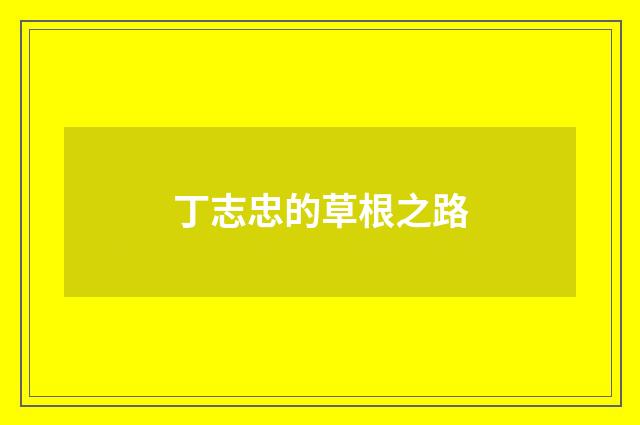 丁志忠的草根之路
