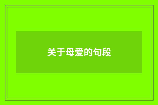 关于母爱的句段