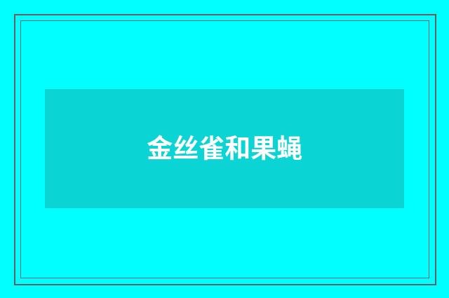 金丝雀和果蝇