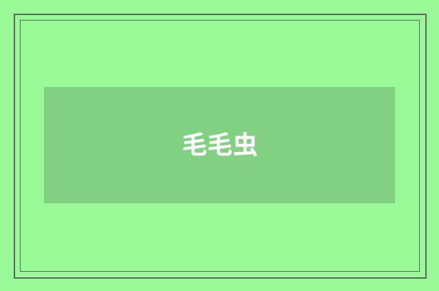 毛毛虫
