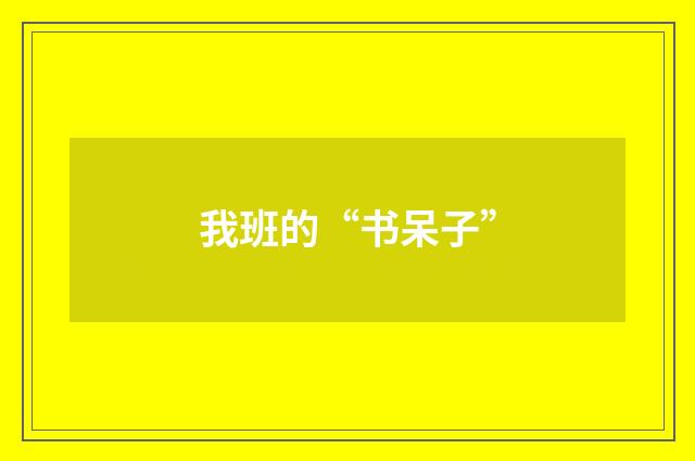 我班的“书呆子”