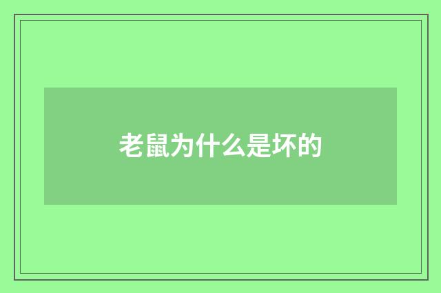 老鼠为什么是坏的