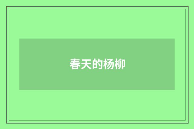 春天的杨柳