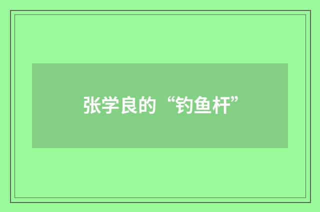 张学良的“钓鱼杆”