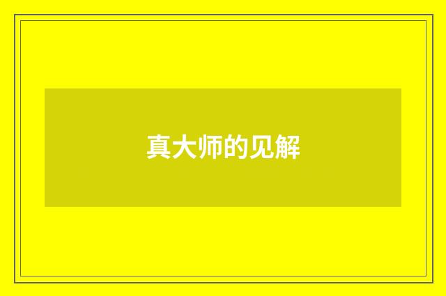 真大师的见解