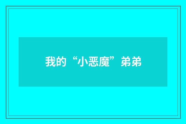 我的“小恶魔”弟弟