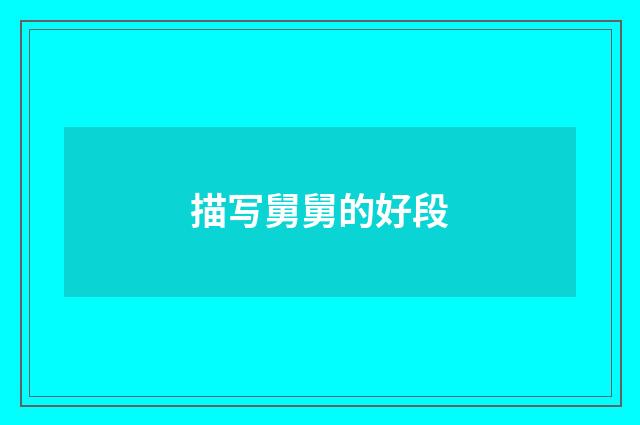 描写舅舅的好段