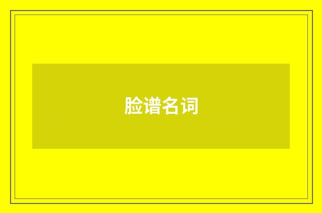 脸谱名词
