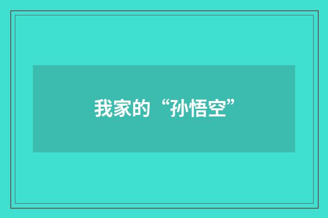 我家的“孙悟空”