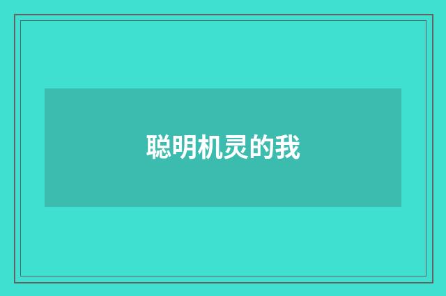 聪明机灵的我