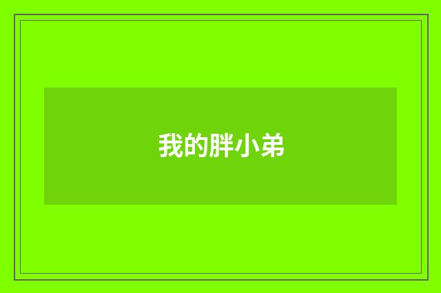 我的胖小弟