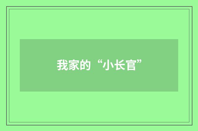 我家的“小长官”