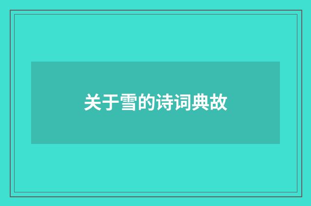 关于雪的诗词典故