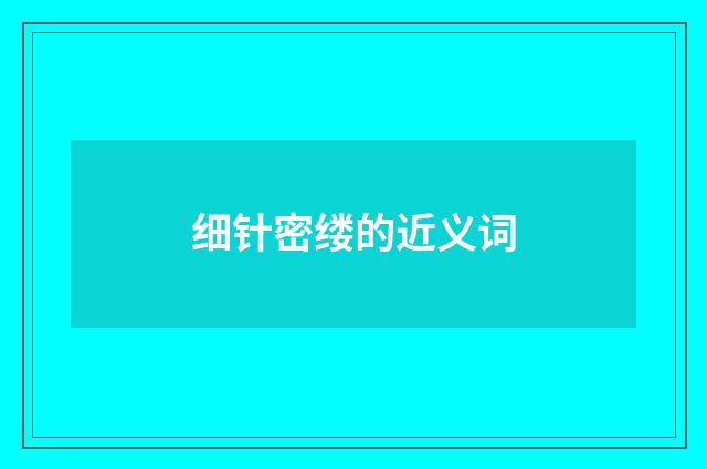 细针密缕的近义词