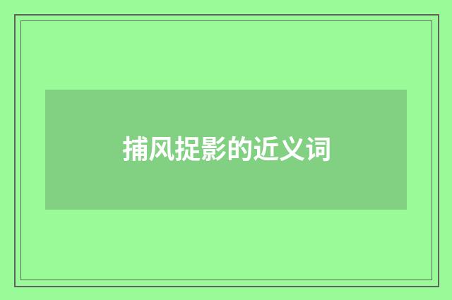 捕风捉影的近义词