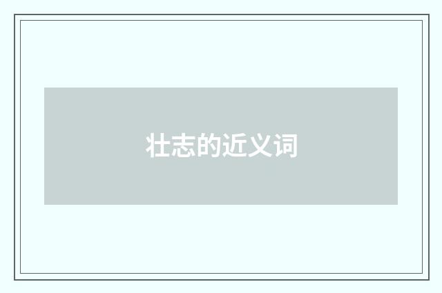 壮志的近义词