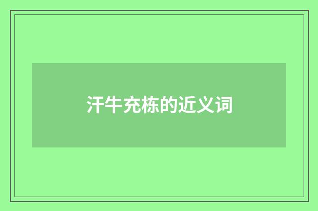 汗牛充栋的近义词