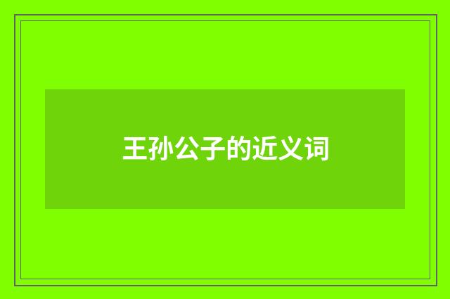 王孙公子的近义词