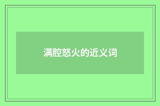 满腔怒火的近义词