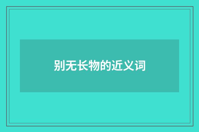 别无长物的近义词