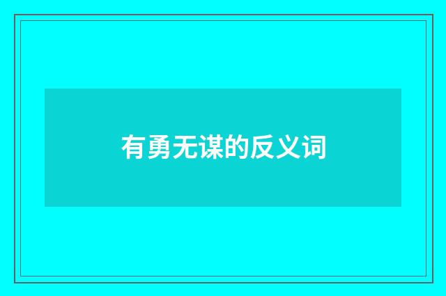 有勇无谋的反义词
