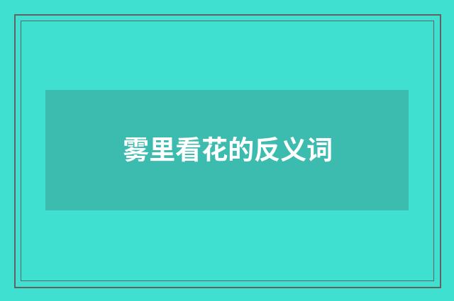 雾里看花的反义词