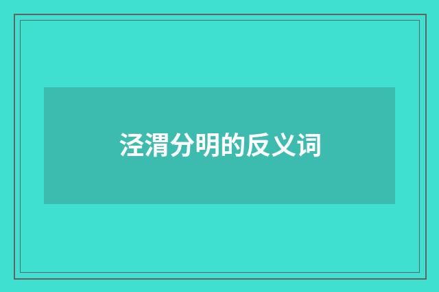 泾渭分明的反义词
