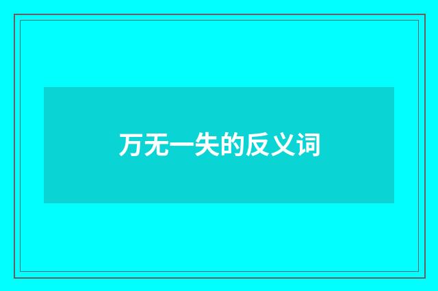 万无一失的反义词
