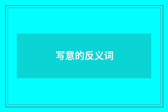 写意的反义词