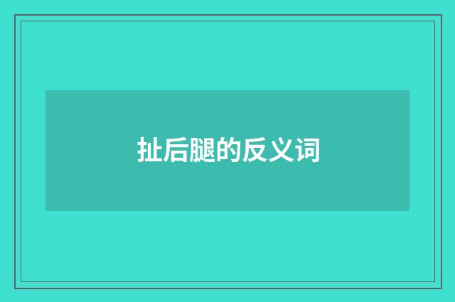 扯后腿的反义词